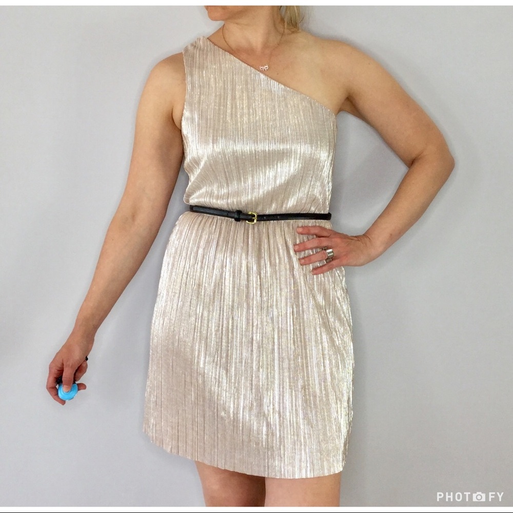 Express Dress blush metallic pleated one shoulder goddess dress